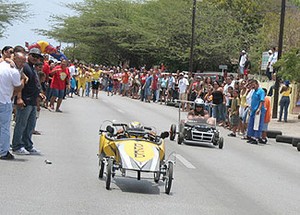 Aruba_Go cart race