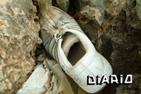 Aruba_Joran_Sneakers