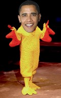 Obama_Chicken