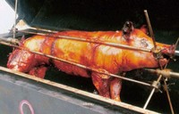 Obama_pig-roast