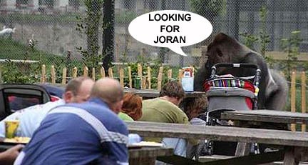 Gorilla_in_holland_2