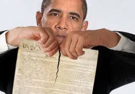 Obama_constitution