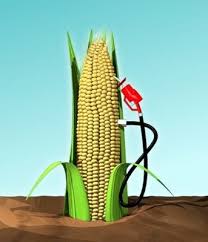 Biofuels_corn