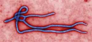 Ebola-CDC brief
